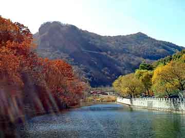 澳门二四六天天彩图库，布鸟里 杜甫